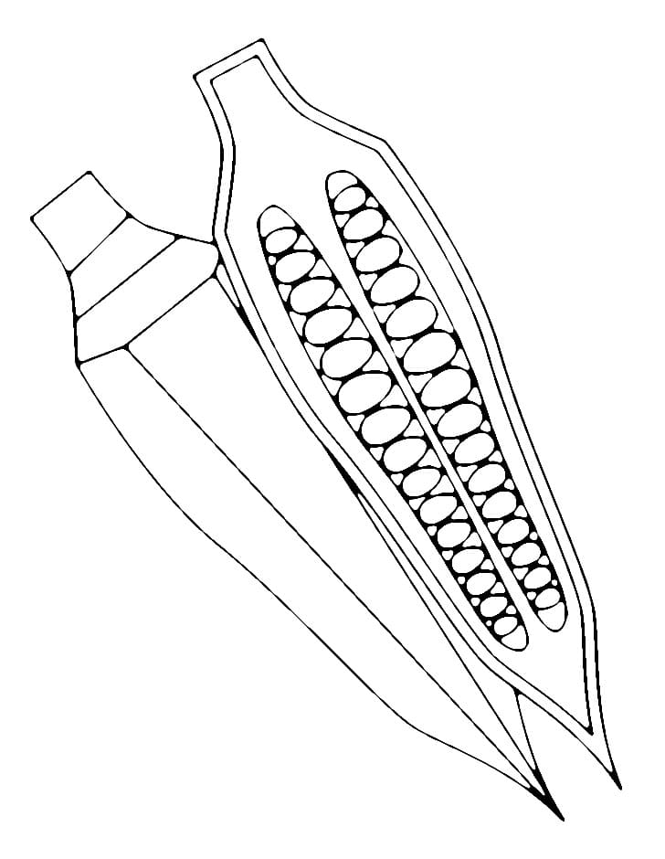 Desenho Pdf Grátis de Quiabo para Colorir