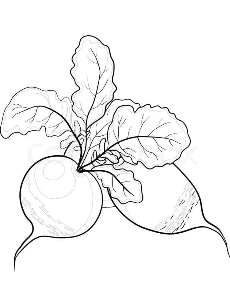 Desenho de Dois Rabanetes para Colorir