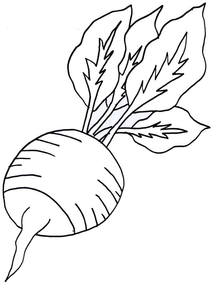 Desenho de Rabanete Grátis para Colorir