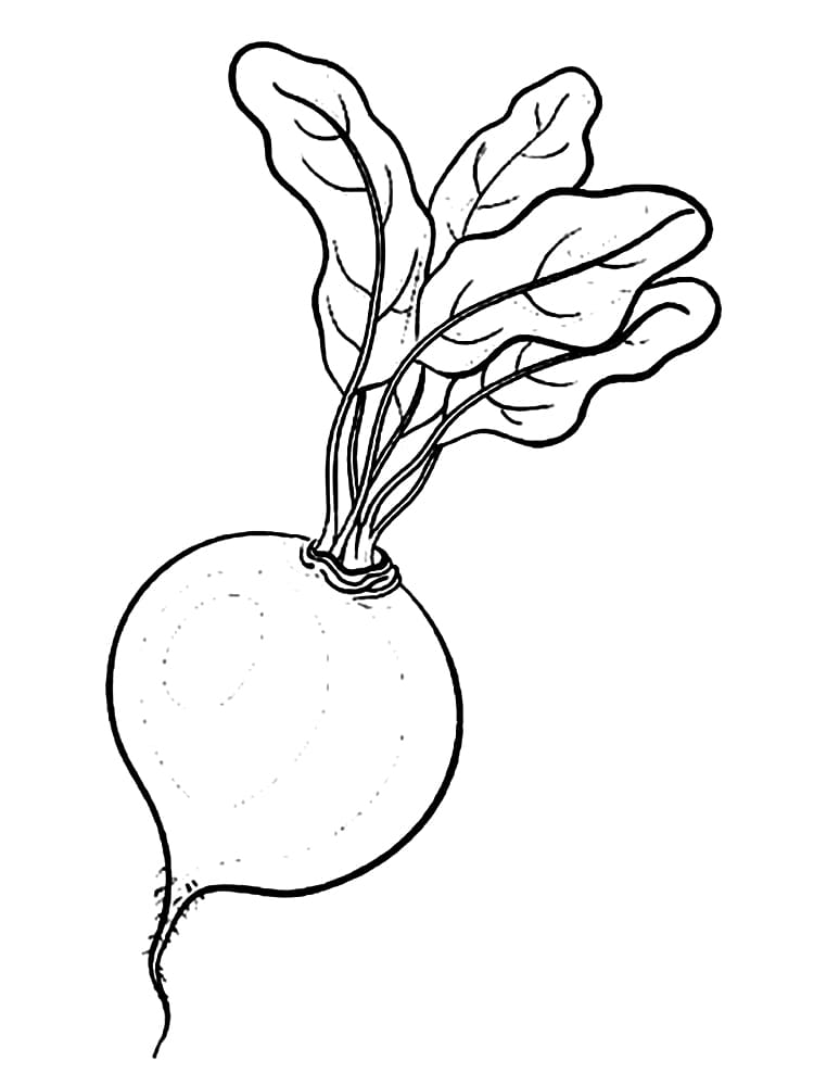 Desenho de Rabanete para Colorir Fácil e Grátis