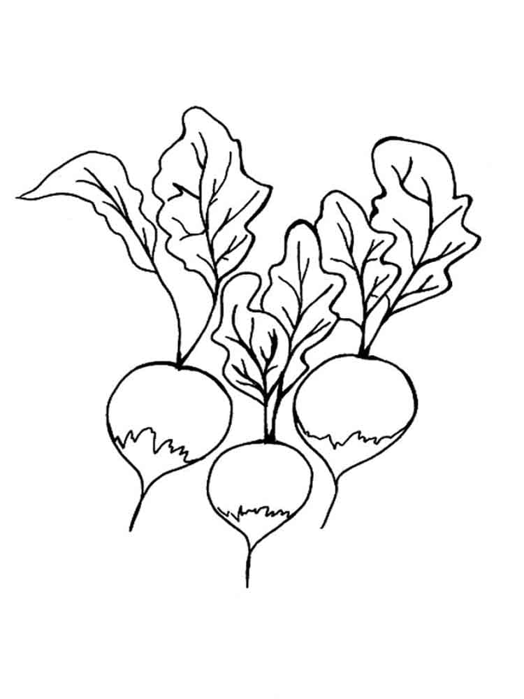 Desenho de Rabanetes Grátis para Crianças para Colorir