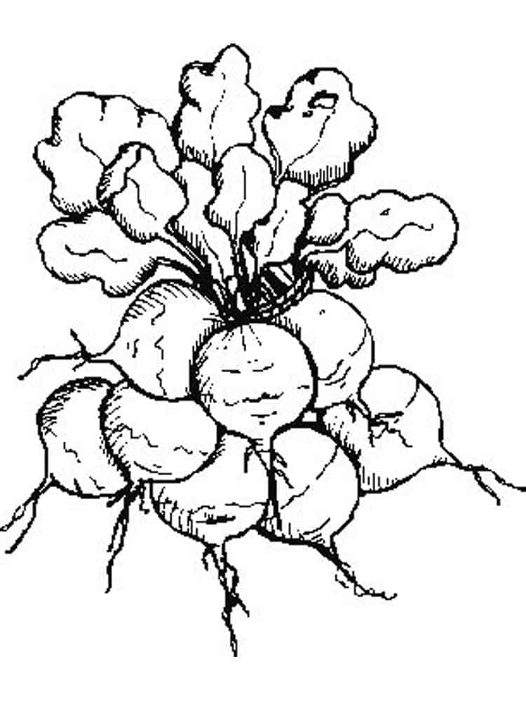 Desenho de Rabanetes para Crianças para Colorir