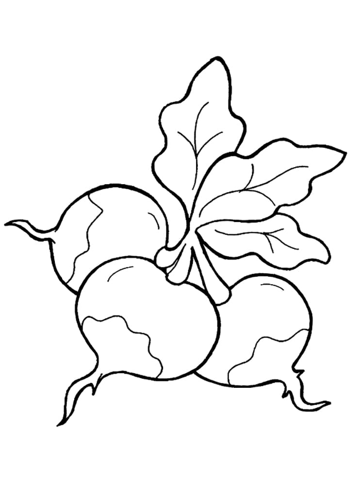 Desenho de Rabanetes para Imprimir e Colorir