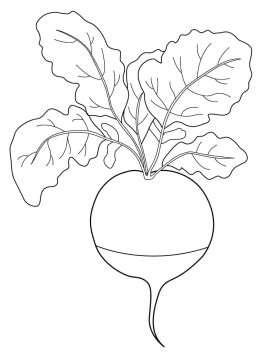 Desenho de Um Rabanete para Colorir
