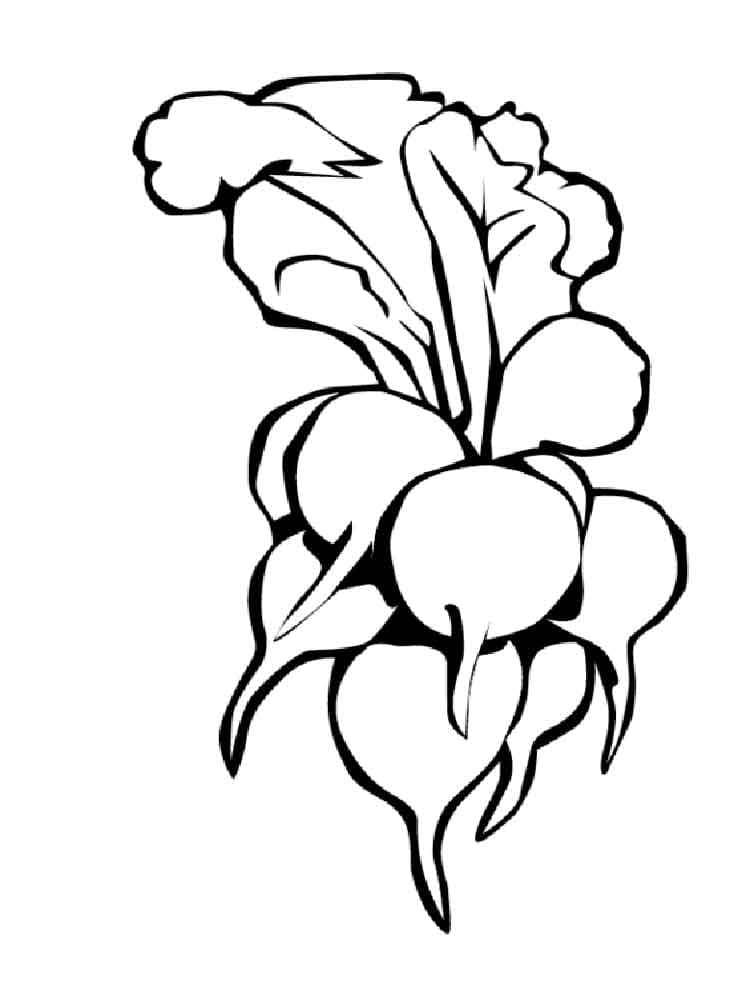 Desenho Formato A4 de Rabanetes para Colorir
