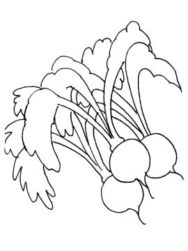 Desenho Imprimível em Pdf de Rabanetes para Pintar