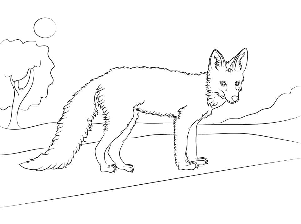 Desenho de Raposa Grátis para Crianças para Colorir