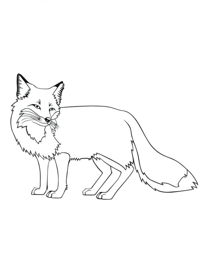 Desenho de Raposa Grátis para Colorir