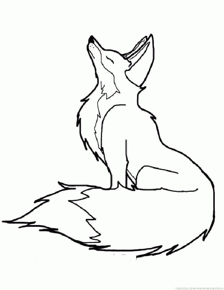 Desenho de Raposa Incrível para Colorir
