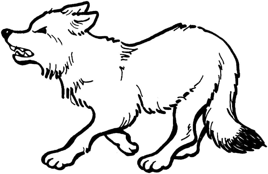 Desenho de Raposa Irritada para Colorir
