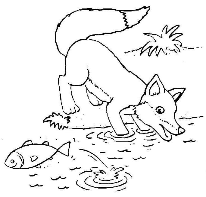 Desenho de Raposa Pegando Peixe para Colorir