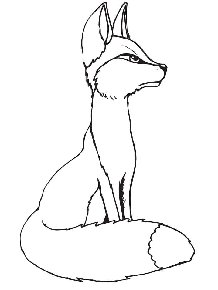 Desenho de Raposa Sentada para Colorir