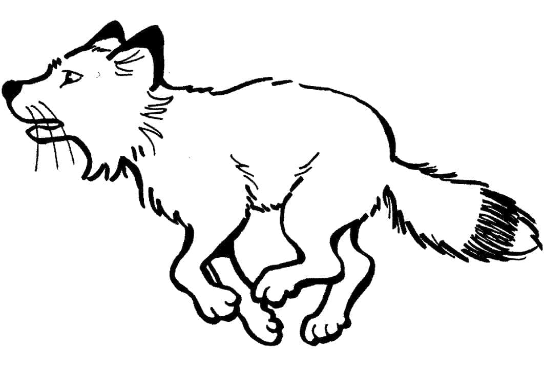 Desenho de Raposa Simples para Colorir