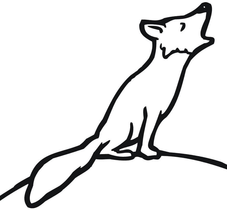 Desenho de Raposa Uivante para Colorir
