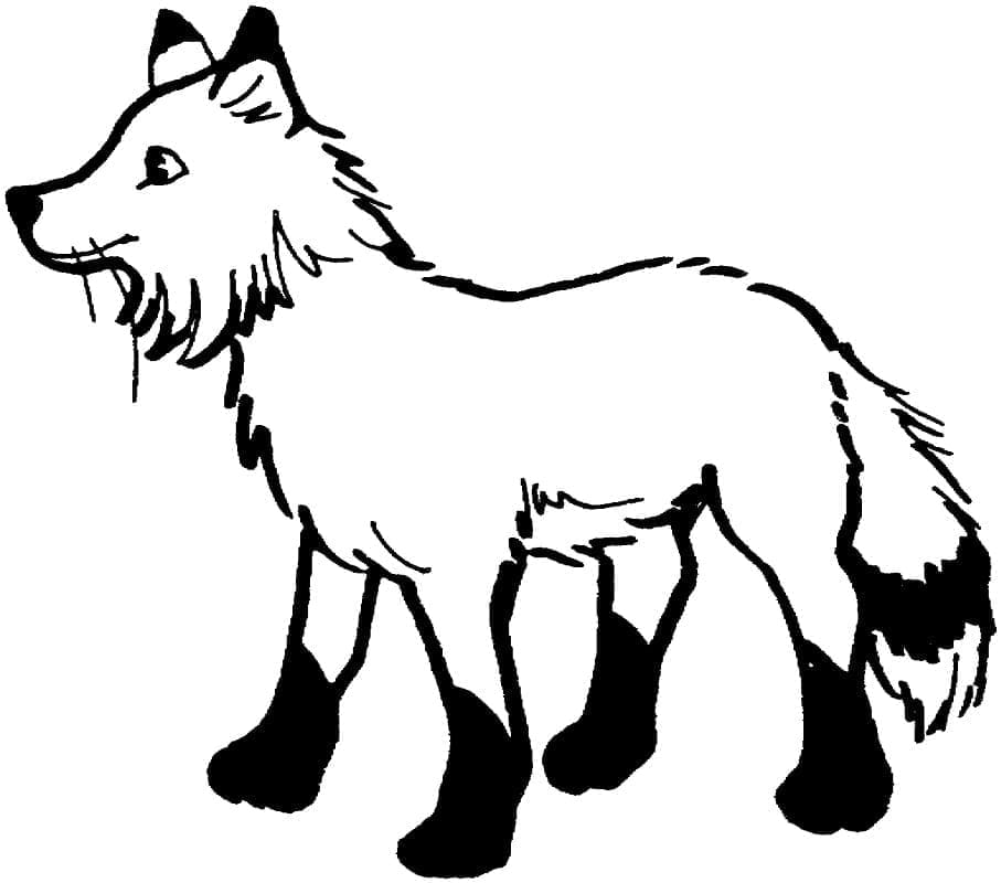 Desenho de Raposa Vermelha para Colorir