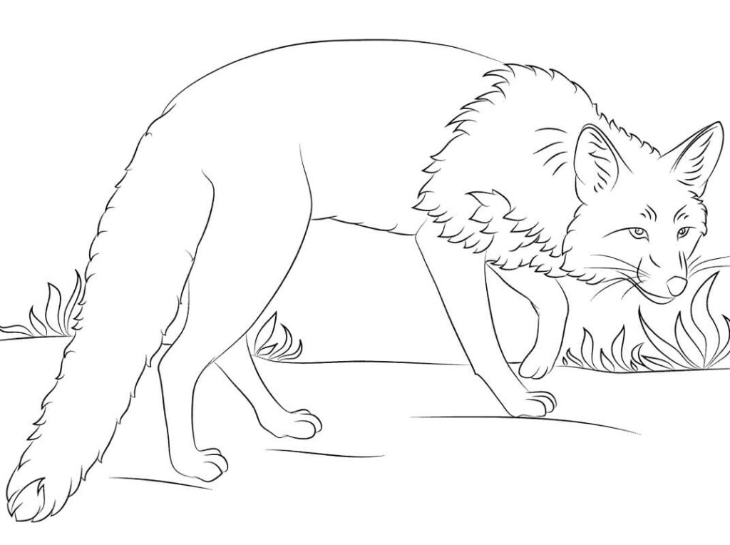 Desenho de Raposa para Colorir Imprimivel