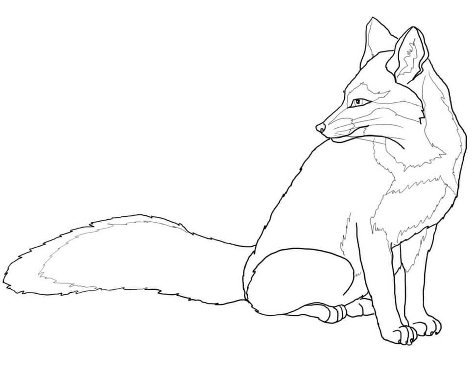 Desenho de Raposa para Imprimir Download