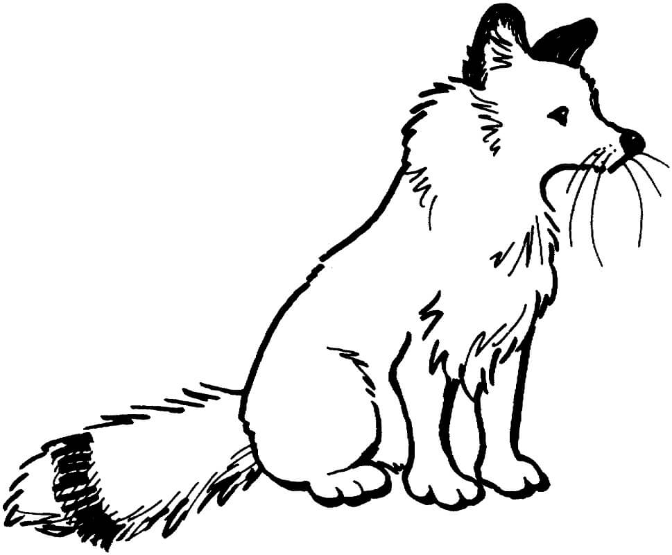 Desenho de Raposa para Imprimir Pdf Grátis