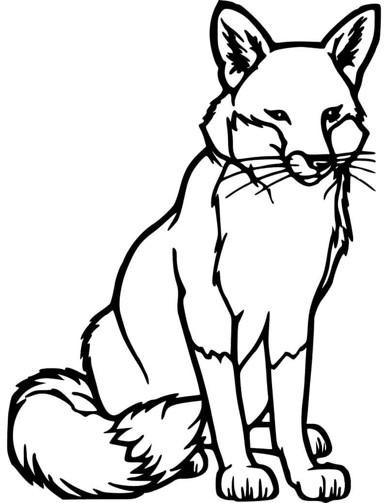 Desenho de Raposa para Pintar Download