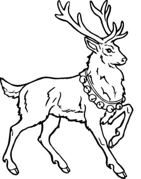 Desenho de Uma Rena de Natal para Colorir