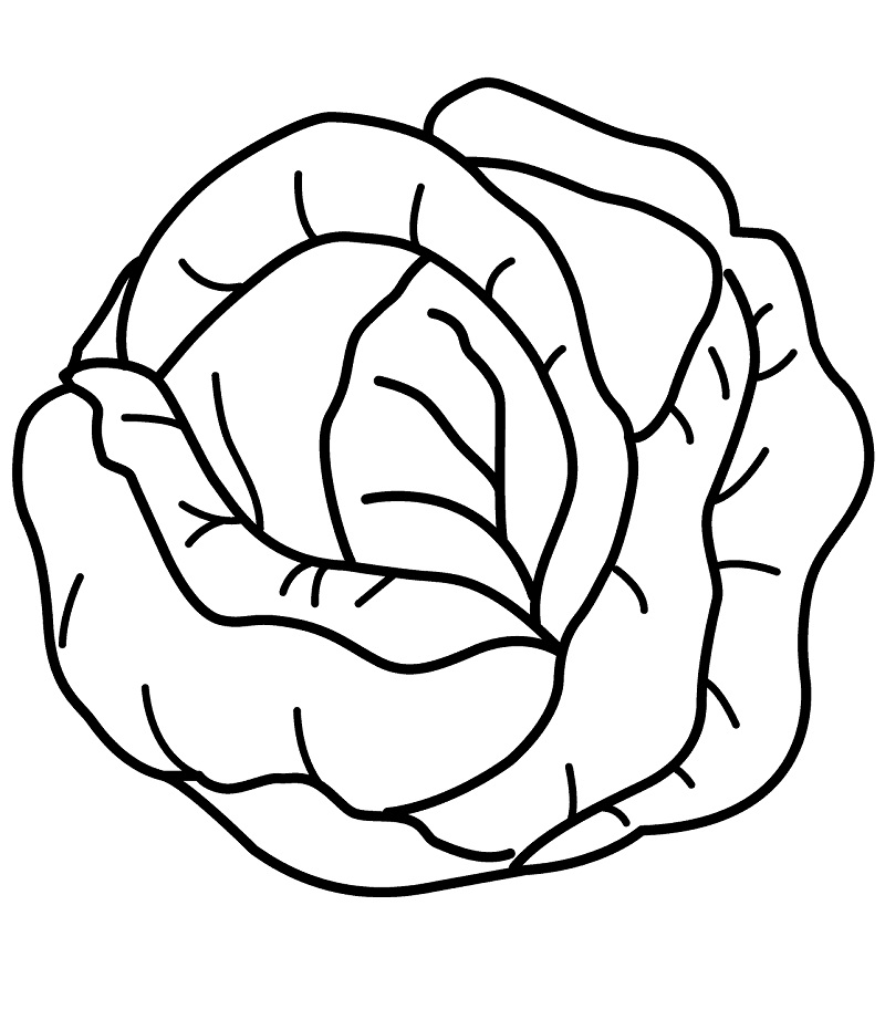 Desenho de Repolho Grátis Pdf para Colorir