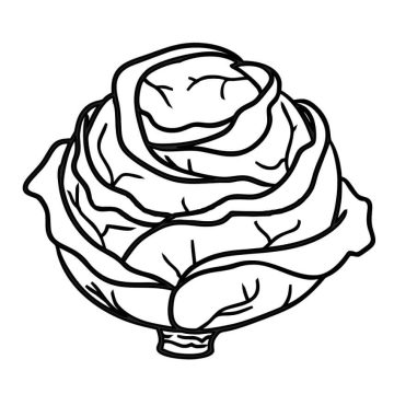 Desenho de Repolho para Colorir Imprimível