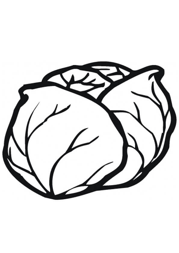 Desenho de Repolho para Colorir Pdf Grátis