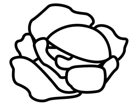 Desenho de Repolho para Imprimir Pdf grátis