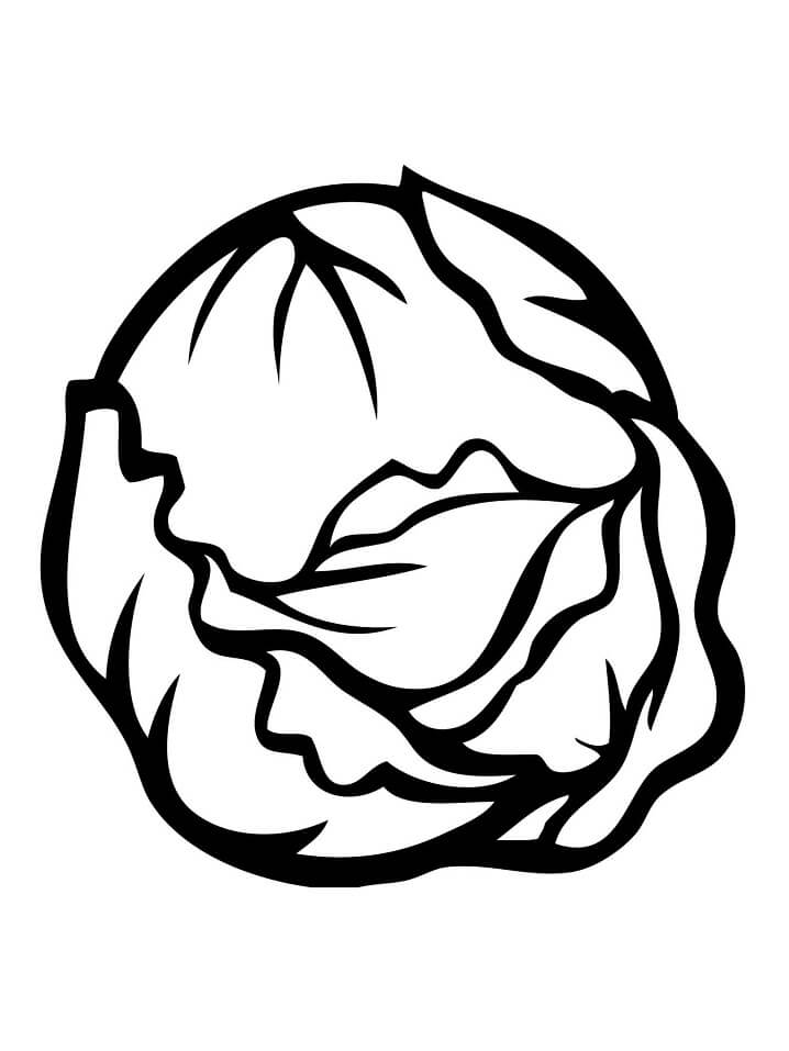 Desenho de Repolho para Pintar Imprimivel