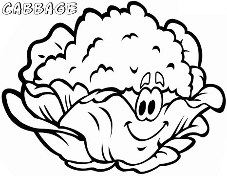 Desenho de Repolho Pdf para Colorir