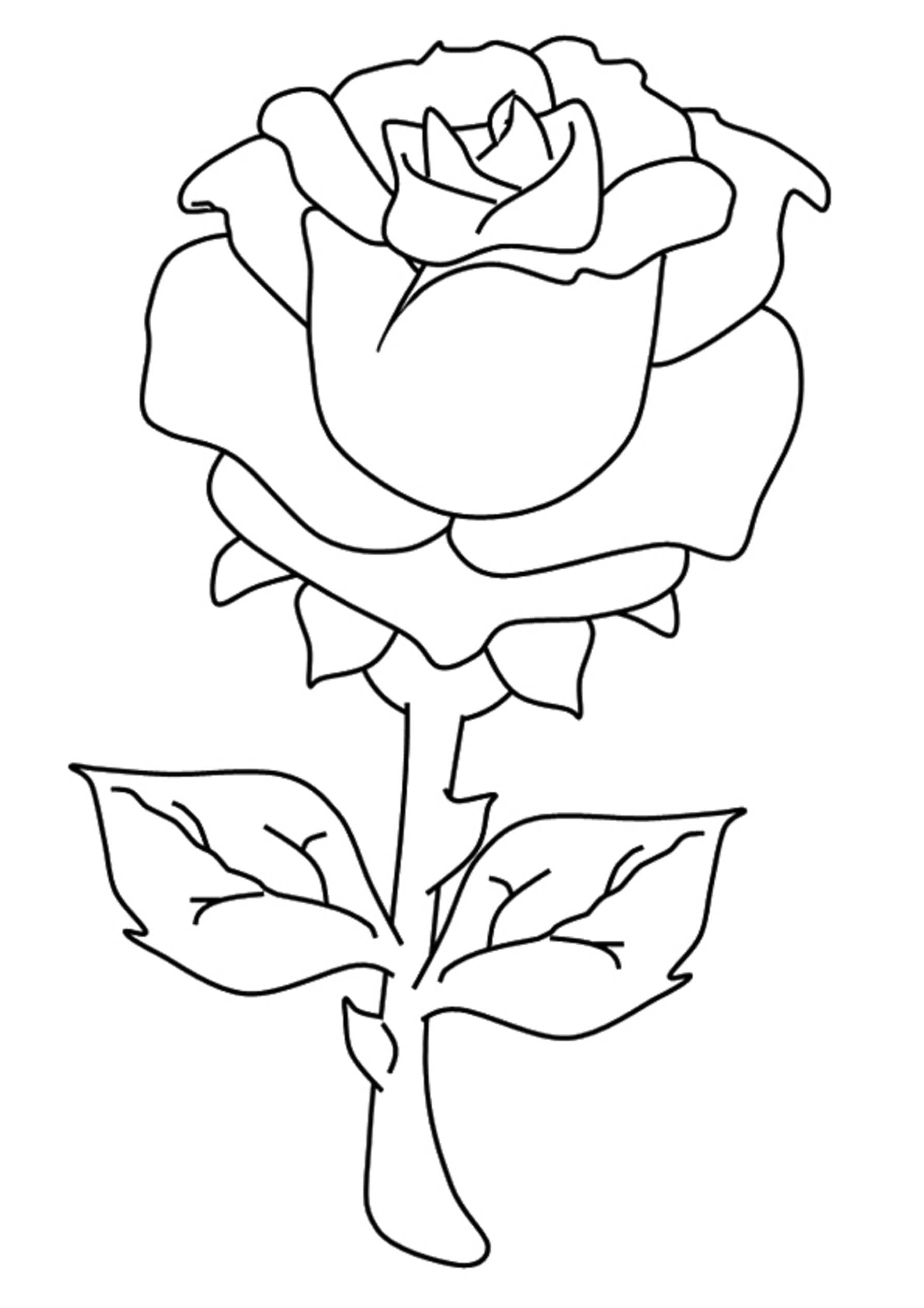 Desenhos de Linda Rosa para Colorir