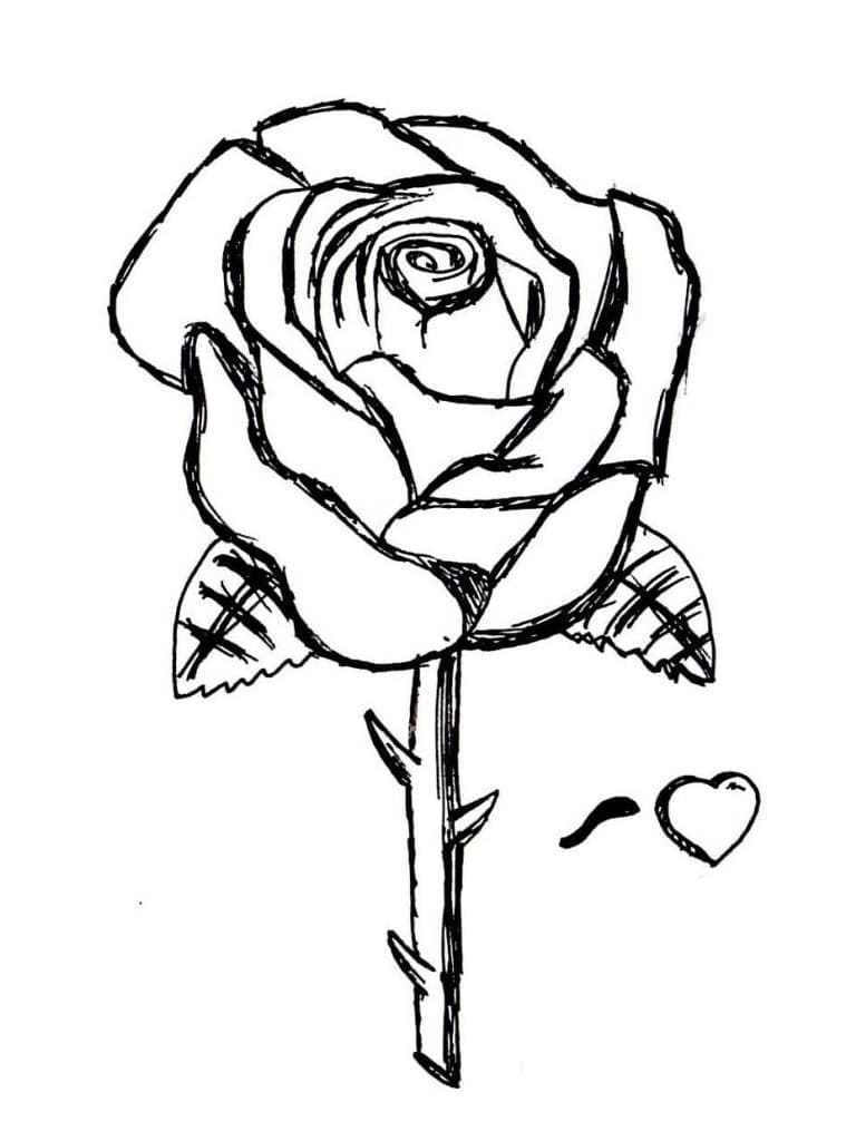Desenhos de Rosa Imprimivel para Colorir