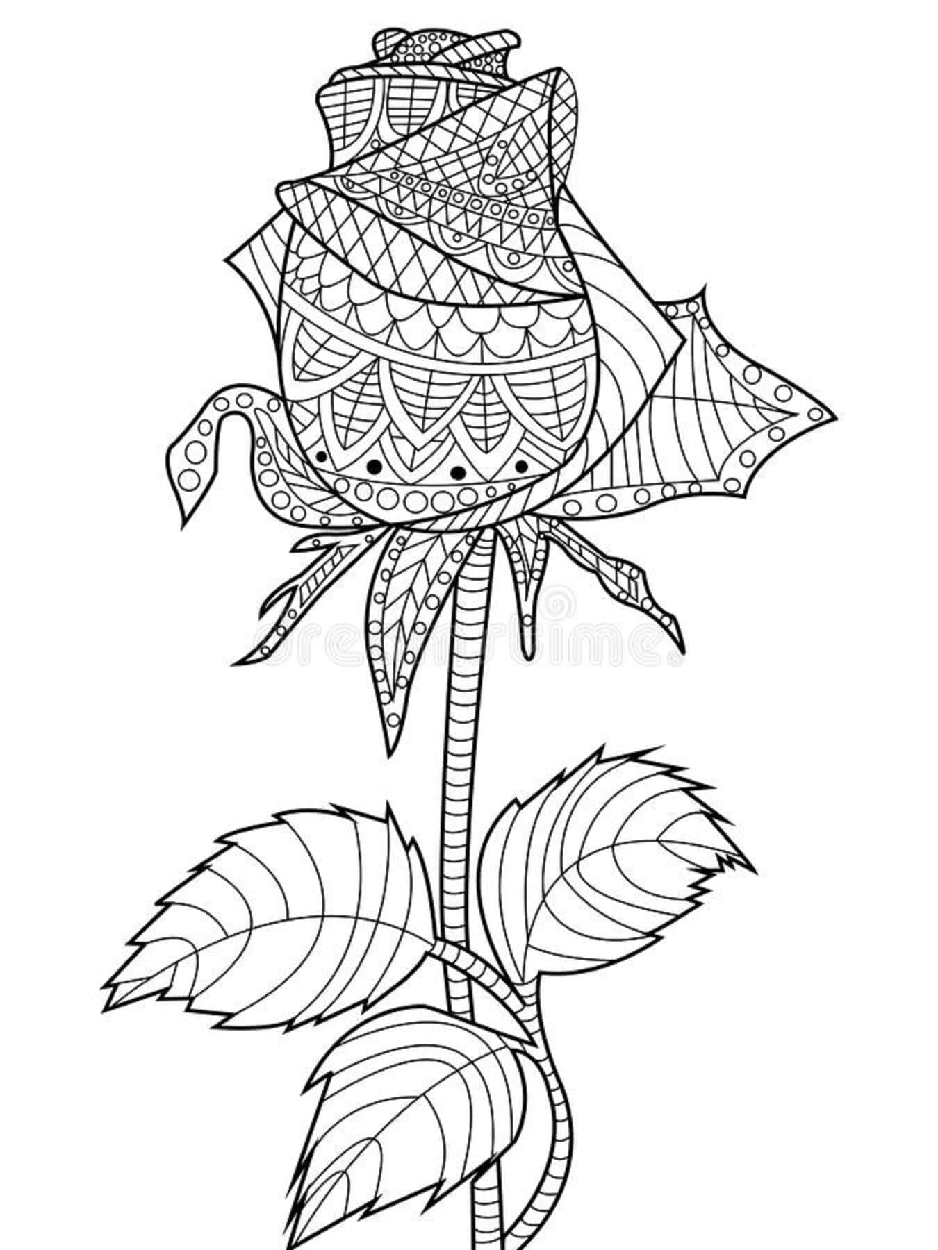 Desenhos de Rosa para Adultos para Colorir