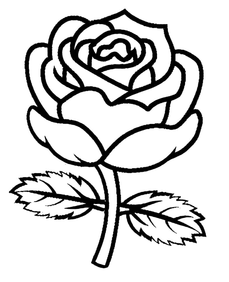 Desenhos de Rosa para Crianças para Colorir