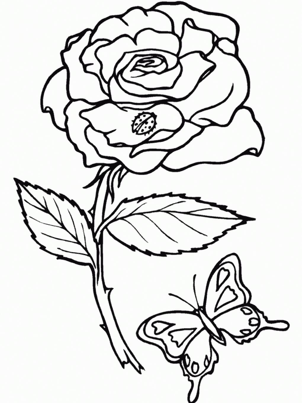 Desenhos de Rosa e Borboleta para Colorir
