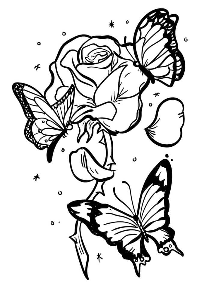 Desenhos de Rosa e Borboletas para Colorir