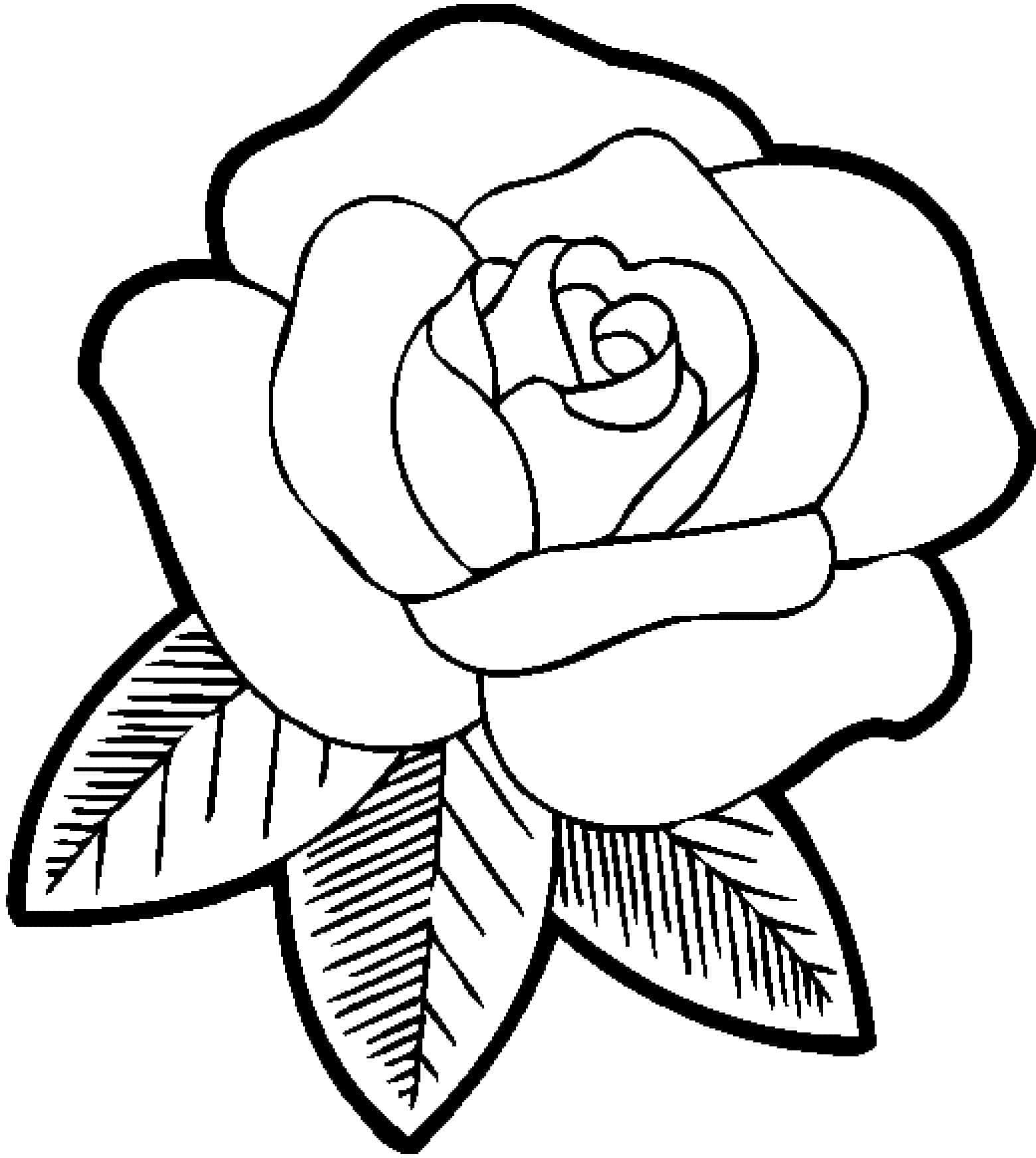 Desenhos de Rosa e Folhas para Colorir