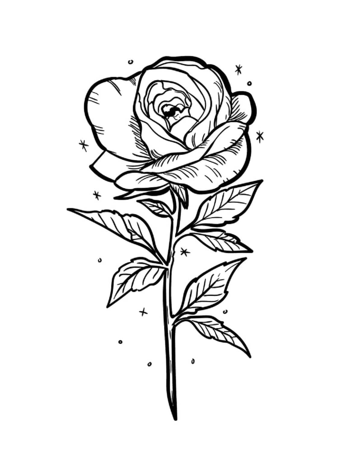 Desenhos de uma Linda Rosa para Colorir