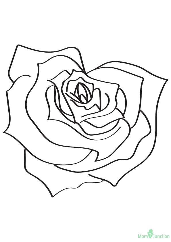 Desenho de Pétala de Rosa para Baixar e Pintar