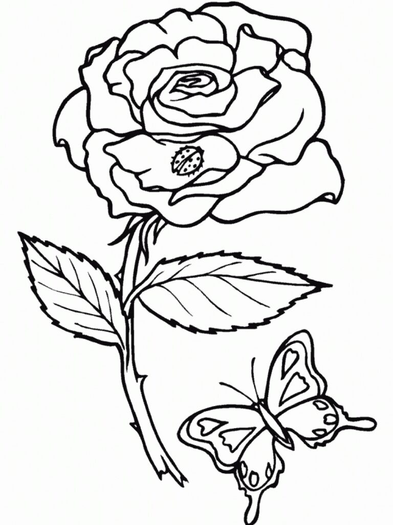 Desenho de Rosa e Borboleta no Jardim para Pintar