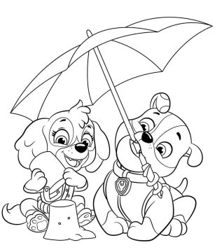 Desenho de Skye e Rubble Patrulha Canina para Colorir