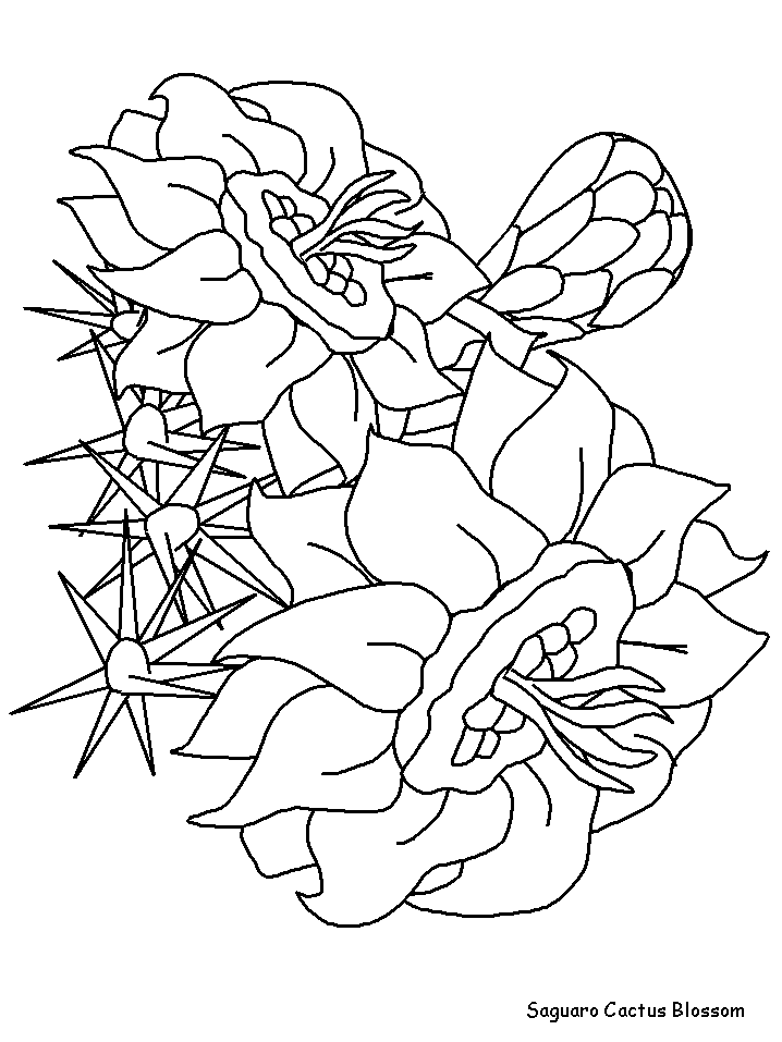 Desenhos de Saguaro para Colorir