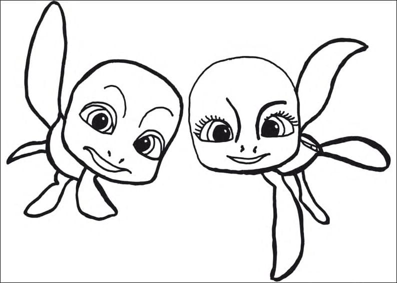 Desenho de Sammy e Shelly para Colorir