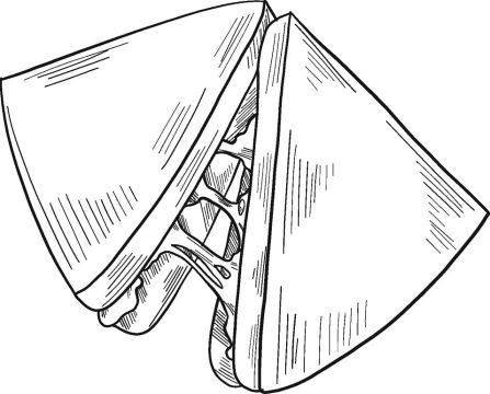 Desenho de sanduíche para Pintar Imprimível