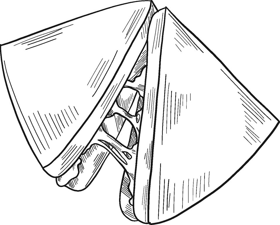 Desenho de Sanduíche para Pintar Imprimivel