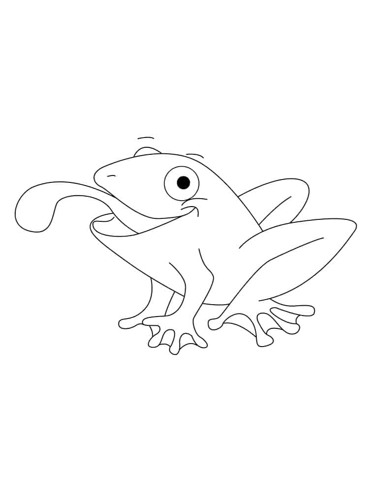 Desenho de Imagem de Sapo para Colorir