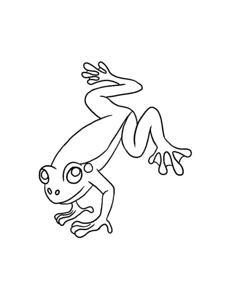 Desenho de Pequeno Sapo para Colorir
