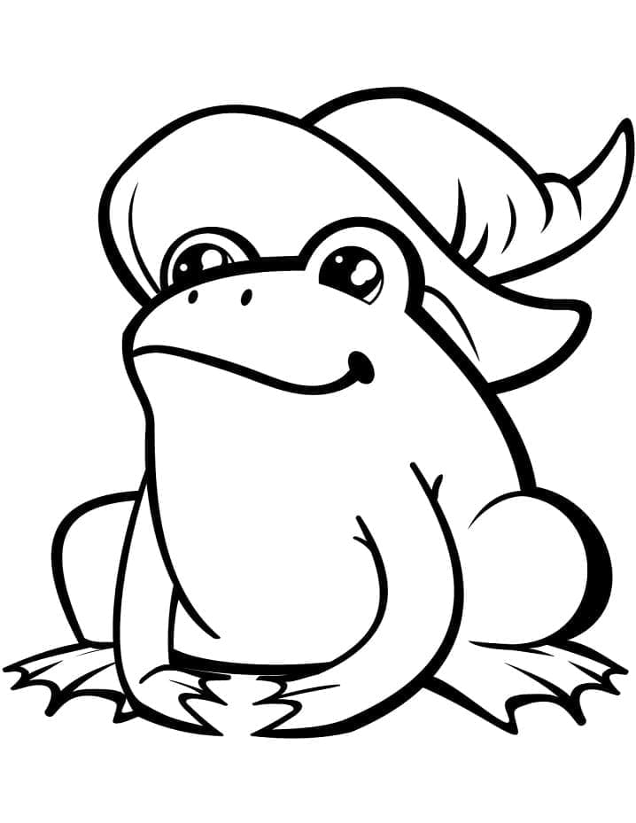 Desenho de Sapo 2 para Colorir