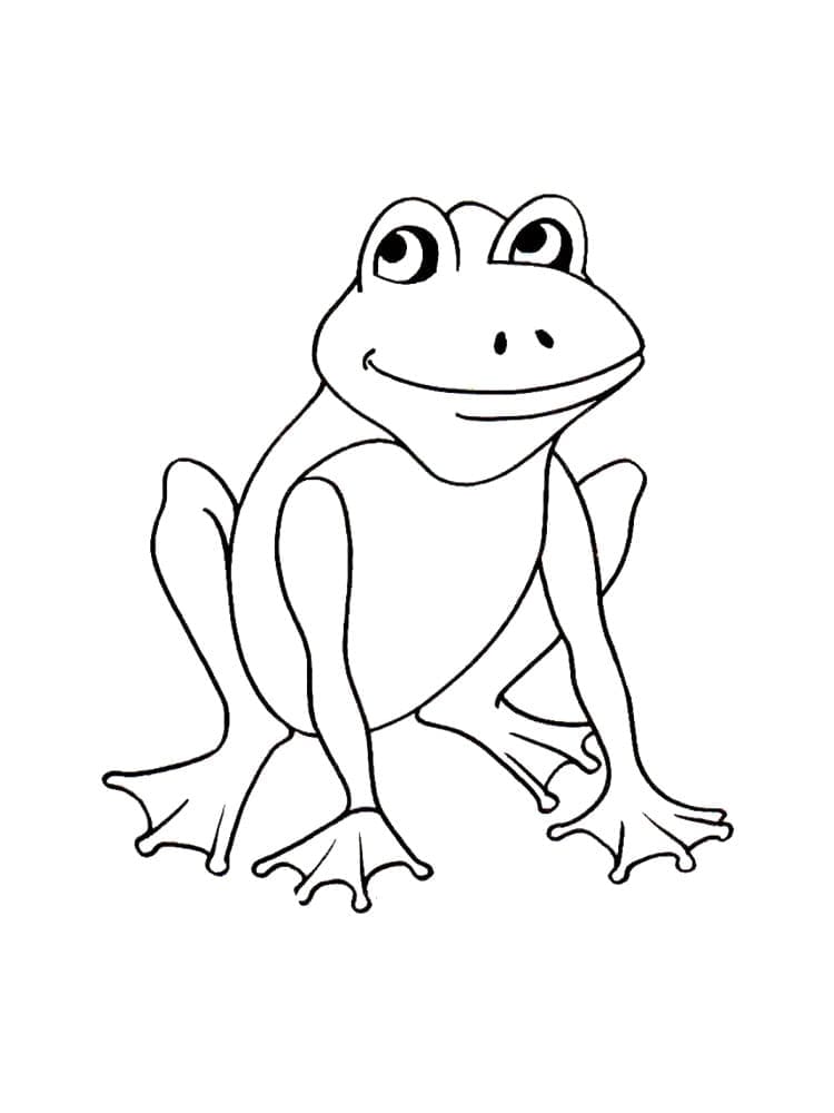 Desenho de Sapo Fácil para Colorir