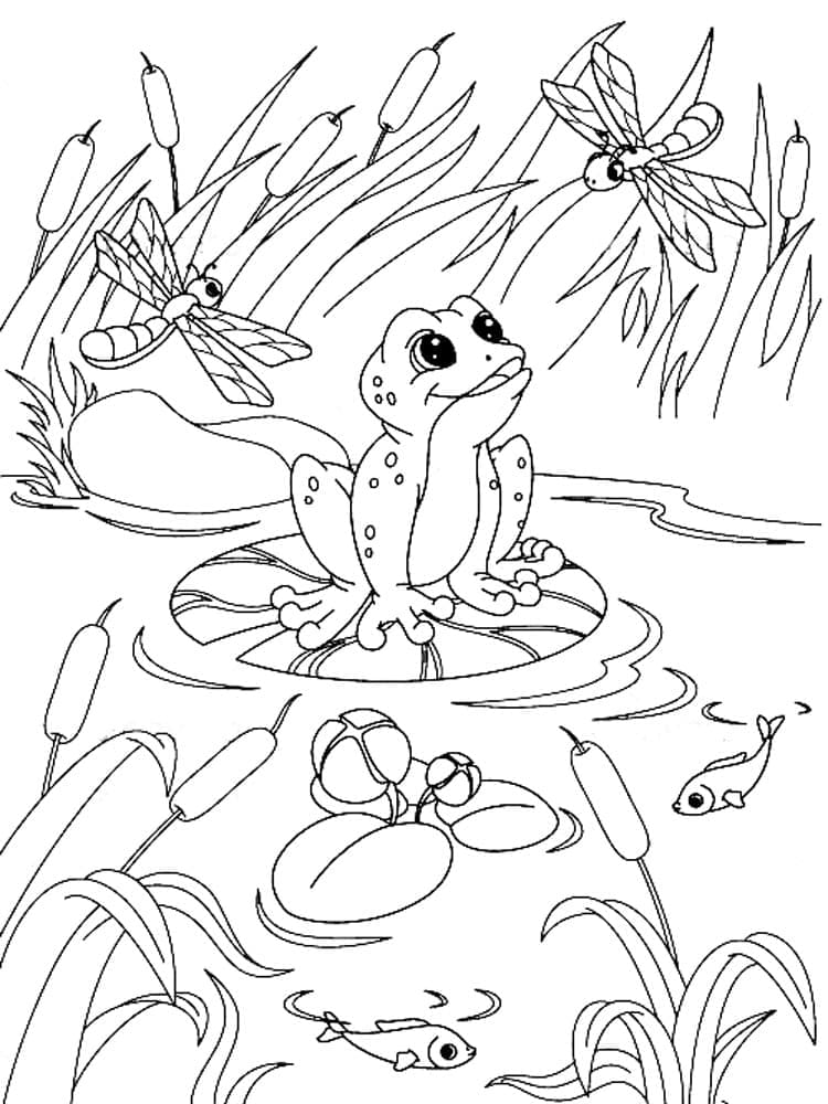 Desenho de Sapo Imprimivel para Colorir